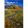 2118_Autumn Stream, Wyoming